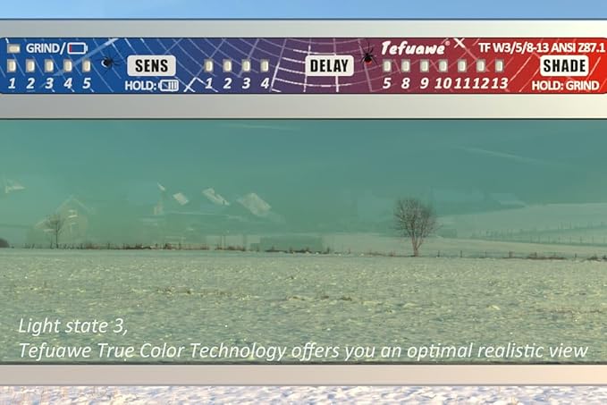 Tefuawe Hand Series 2x4 1/4 Automatic Welding Lens, 2 Amp TIG Rating, Variable Shade with Multiple Settings, For Stick Mig Tig