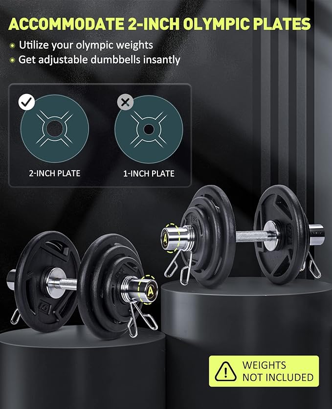 Pair of 16" Olympic Dumbbell Handles, Loadable Dumbbell Bars for 2-inch Olympic Weight Plates Great for Home Gym Strength Training, Weight Bars with 2 Pair of Spring Collars