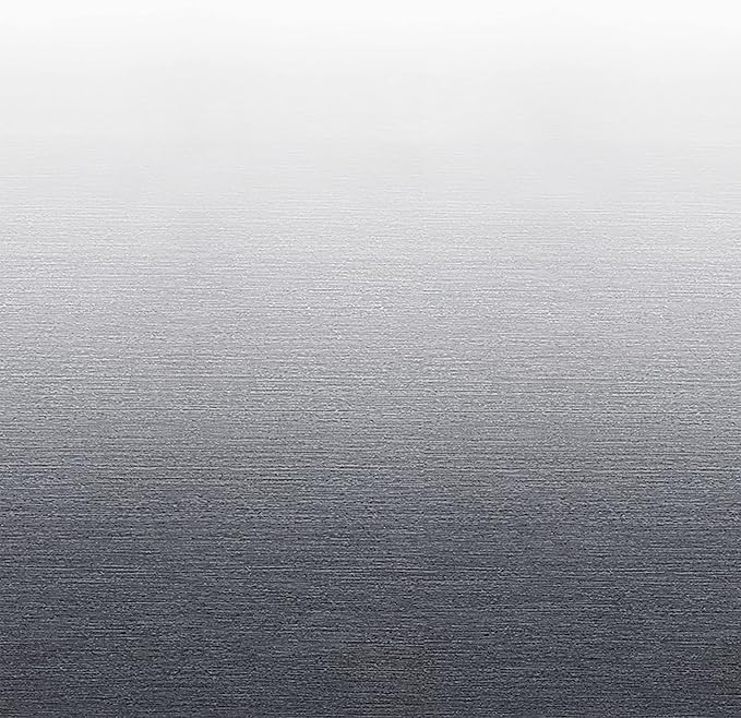 RecPro RV Awning Fabric Replacement | Width Options from 8 Feet to 22 Feet | Variety of Color Options | 8' (96") Length RV Awning Replacement | Premium Vinyl (16' - Actual Width 15' 1", Gray Fade)
