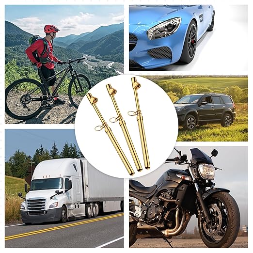 Tallew 20 Pack Dual Head Tire Pressure Gauge Heavy Duty Air Pressure Tire Gauge for Auto Truck Car RV Van Gage Range 10-150PSI, 1-10Bar (Gold)