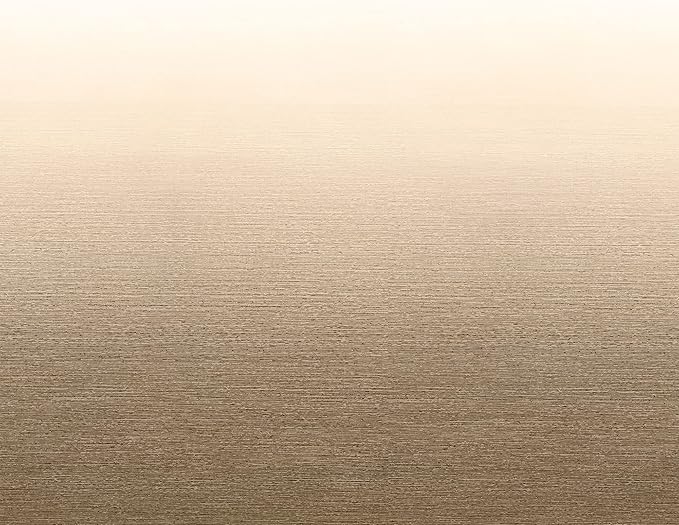 RecPro RV Awning Fabric Replacement 15 Foot Camper Awning | Tan | Width Size Options | 8' (96") Length | Heat Sealed | 3 Year Warranty (15 Feet, Actual 14' 1")…