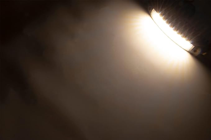 Raycharm 9.1" RV Low-Profile LED Awning Light Fixture, 40° Down Angle Focused Flood Beam, 3000K Warm-White, High Light-Output Low Ampere, Aluminum Housing Black Finish, 12V/24V, 1-Pack