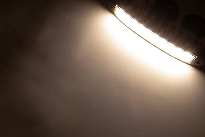 Raycharm 12.2" RV Low-Profile LED Porch Light Fixture, 40° Down Angle Focused Flood Beam, 3000K Warm-White, High Light-Output Low Ampere, Aluminum Housing Black Finish, 12V/24V, 1-Pack