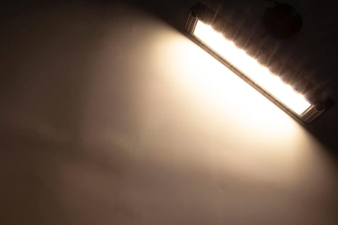 Raycharm 13" Exterior LED Flood Light Fixture, 40° Down Angle Beam, 3000K Warm-White, 12V/24V DC, High Lumen Output Low Current Draw, Aluminum Housing Black Finish for RV Camper, 1-Pack