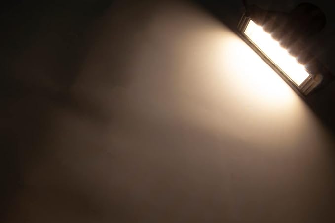 Raycharm 9" RV & Marine Boat Exterior LED Scene Light Fixture, 40° Down Angle Flood Beam, 3000K Warm-White, 12V/24V DC, High Lumen Output Low Current Draw, Waterproof White Finish, 1-Pack