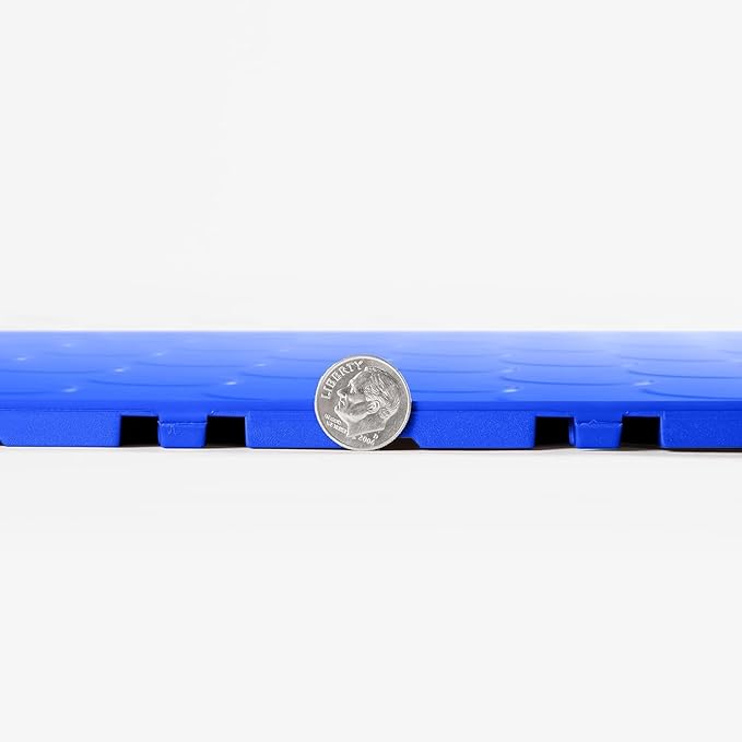 FlooringInc's Nitro 12"x12" Snap-Together Garage Flooring Tiles, Non-Slip Interlocking Plastic Floor Mat, Coin Pattern, Shelby Blue, 12 Tiles, 12 Sq/Ft