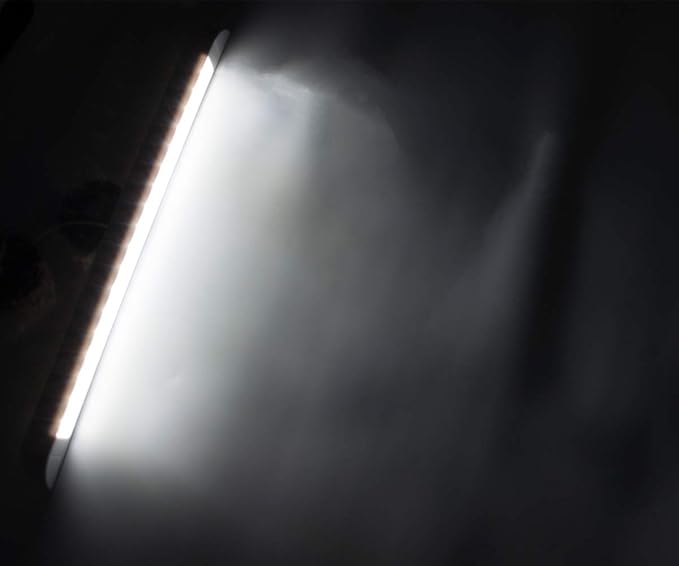 Raycharm 20" RV & Marine Boat LED Awning Porch Utility Light Fixture, 40° Down Angle Beam, 6000K Cool-White, 12V/24V DC, High Light-Output Low Ampere Draw, Waterproof White Finish, 2-Pack