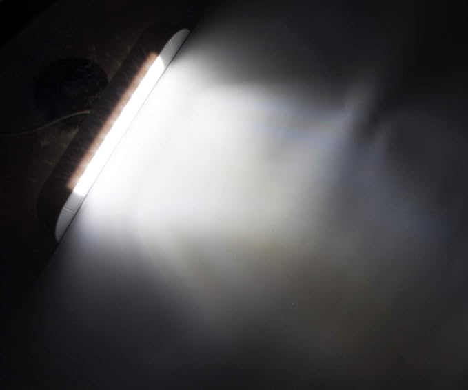 Raycharm 10" RV Camper LED Awning Porch Utility Light Fixture, 40° Down Angle Beam, 6000K Cool-White, 12V/24V DC, High Light-Output Low Ampere Draw, Aluminum Housing Black Finish, 2-Pack