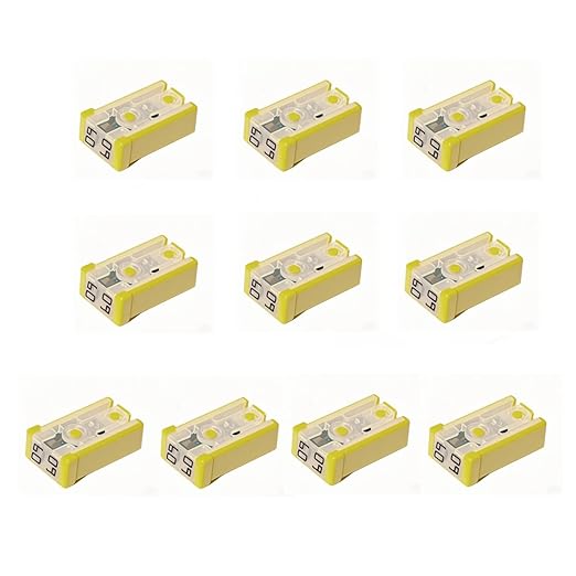 10 pcs Slotted Automotive MCASE Mini Shaped Cartridge Fuse Kit, 60A, 32V
