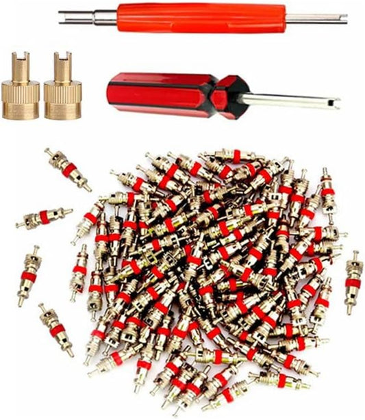 Valve Core Remover with 100 Pcs Car Truck Replacement TPMS Nickel Plated Tire Tyre Valve Stem Core Dual Single Head Valve Core Remover Tire Repair Tool Set