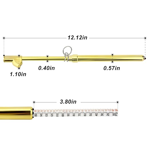 MEANLIN MEASURE 10PCS Gold Double Straight Type Tire Pressure Gauge, Dual Head Air Pressure Gauge, Pressure Range 10-150 Psi (Suitable for Trucks, etc.)