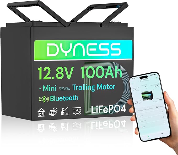 12V 100Ah LiFePO4 Lithium Battery with Bluetooth, Group 24,Max.1280Wh Energy, Built-in 100A BMS with Low-Temp Protection, Perfect for Trolling Motor RV,Boat, Solar System