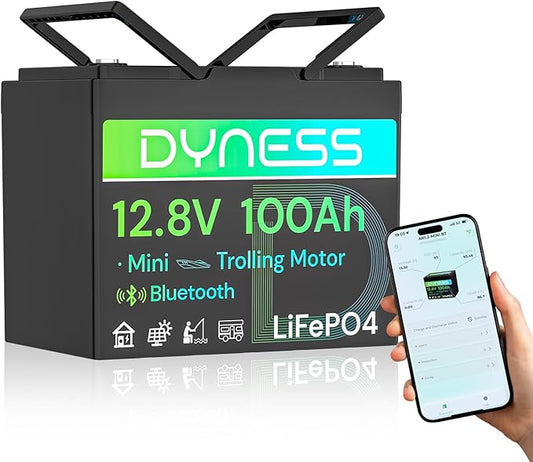 12V 100Ah LiFePO4 Lithium Battery with Bluetooth, Group 24,Max.1280Wh Energy, Built-in 100A BMS with Low-Temp Protection, Perfect for Trolling Motor RV,Boat, Solar System
