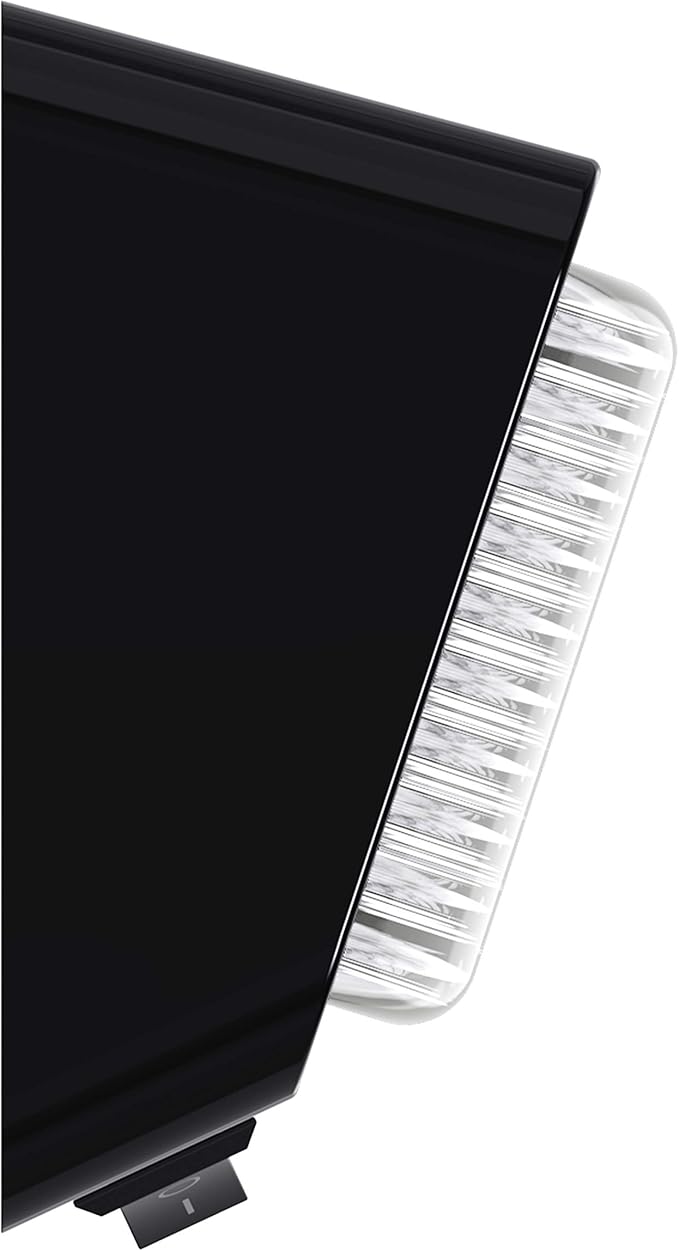 Leisure LED RV Exterior Porch Utility Light with Switch - 12v 280 Lumen Lighting Fixture. Replacement Lighting for RVs, Trailers, Campers, 5th Wheels. Black Base, Clear and Amber Lens (Black, 1-Pack)