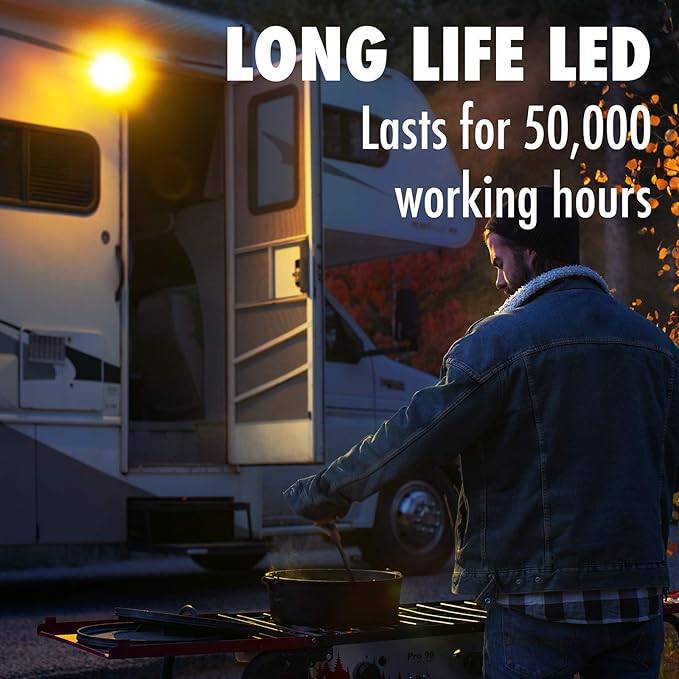 Lumitronics RV 12V LED Exterior Porch Utility Light, Clear & Amber Lenses (Black)