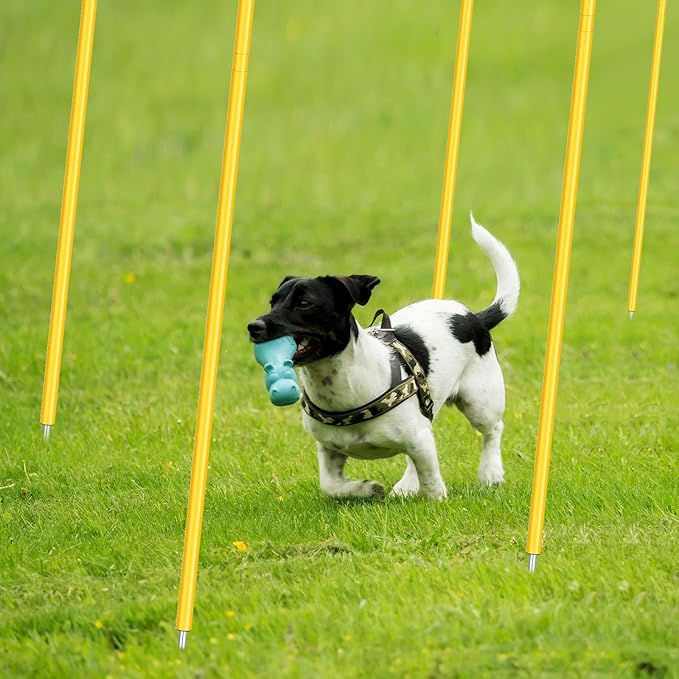 Blulu Training Agility Poles 5ft Forza Slalom Adjustable Soccer Training Poles Soccer Sticks Agility Equipment for Football Sport Football Soccer Speed