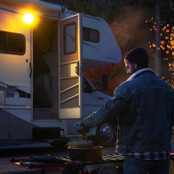 Lumitronics RV LED Euro-Style Porch Light, Amber Lens (Black)