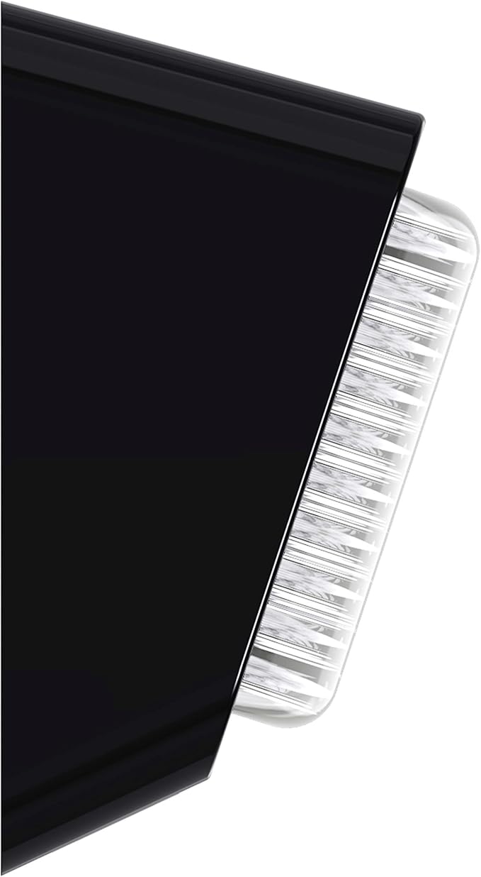 Leisure LED 2 Pack RV Exterior Porch Utility Light 12v 280 Lumen Lighting Fixture. Replacement Lighting for RVs, Trailers, Campers, 5th Wheels Black Base, Clear and Amber Lens (Black, 2-Pack)