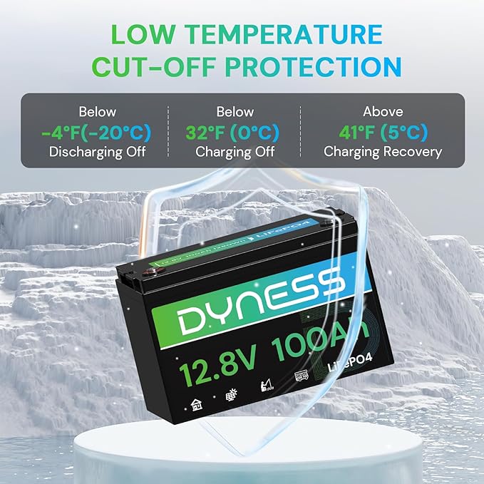 12V 100Ah LiFePO4 Battery BCI Group 31 Lithium Battery with Low-Temp Cut Off Protection, A+ Grade Cell Built-in 100A BMS, Perfect for RV, Solar System, Off-Grid, Home Energy Storage