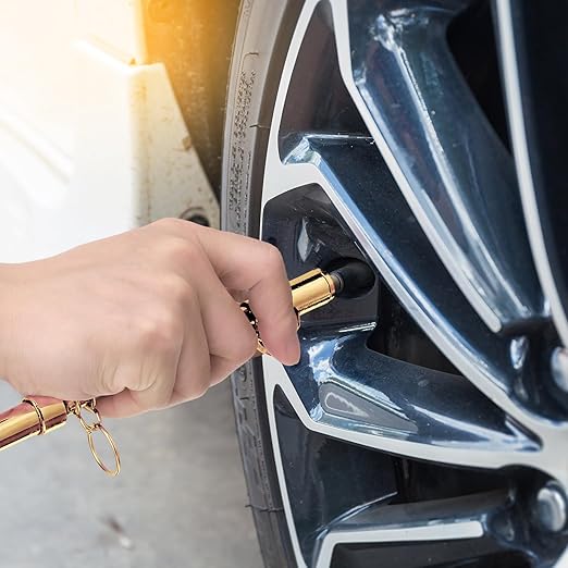 Tallew 10 Pack Dual Head Tire Pressure Gauge Heavy Duty Air Pressure Tire Gauge for Auto Truck Car RV Van Gage Range 10-150PSI, 1-10Bar (Gold)