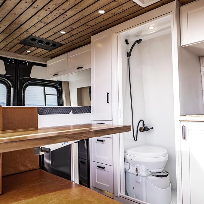 acegoo RV Recessed Ceiling Light 2-3/4” 12V Dimmable LED Puck Light for Campervan Truck Caravan Boat Roof Under Cabinet Lighting, Flush Mount Cutout 2-1/4" (Black,Cool White) 4 Pack