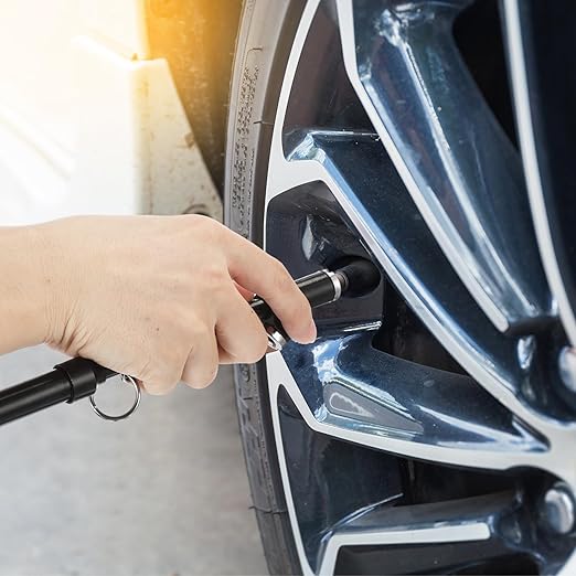 Tallew 10 Pack Dual Head Tire Pressure Gauge Heavy Duty Air Pressure Tire Gauge for Auto Truck Car RV Van Gage Range 10-150PSI, 1-10Bar (Black)