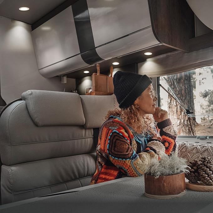 acegoo RV Recessed Ceiling Light 2-3/4” 12V Dimmable LED Puck Light for Campervan Truck Caravan Boat Roof Under Cabinet Lighting, Flush Mount Cutout 2-1/4" (Black,Cool White) 4 Pack