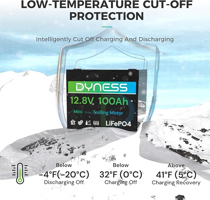 12V 100Ah LiFePO4 Battery Mini TM, BCI Group 24, 12V 100Ah Lithium Battery with Low-Temp Protection Built-in 100A BMS, 12.8V Deep Cycles Battery, Perfect for Trolling Motor, RVs, Boat, Marine