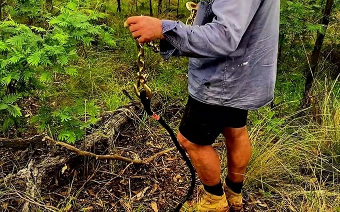 DOWN UNDER OUTDOORS Heavy Duty 3/8”x 10ft Grade 70 Recovery Log Chain, Deer Drag, with Grab and Slip Hooks WLL 6,600 Lbs, Includes Storage Bag for Gear