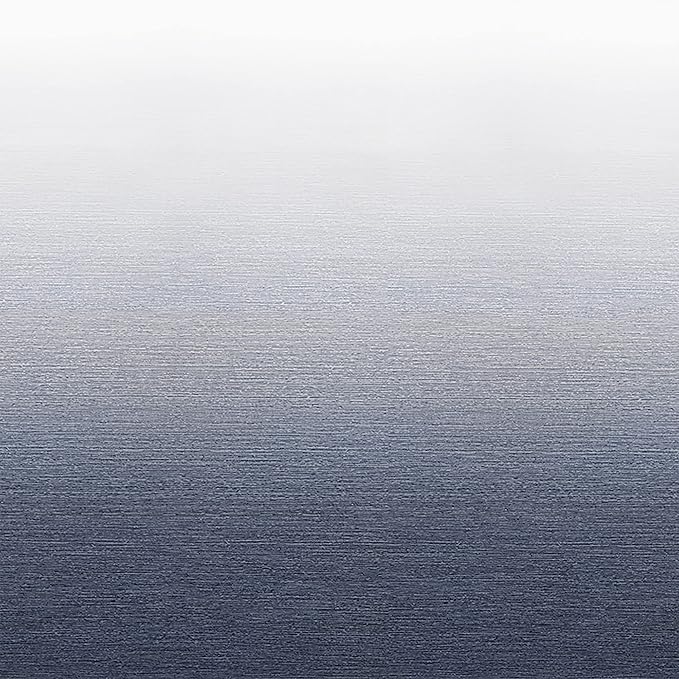 RecPro RV Awning Fabric Replacement | Width Options from 8 Feet to 22 Feet | Variety of Color Options | 8' (96") Length RV Awning | Premium Vinyl (14' - Actual Width 13' 1", Slate Blue Fade)…