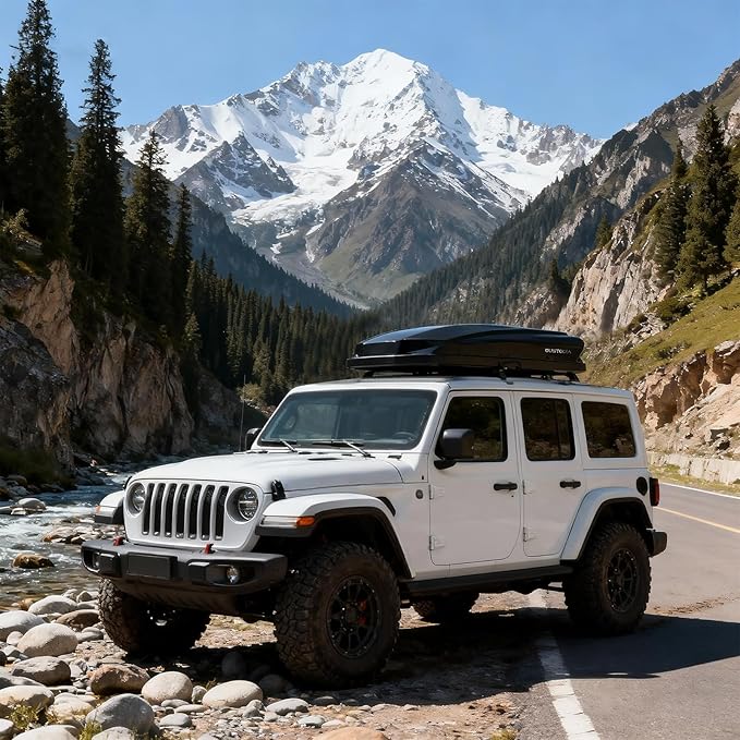 Roof Cargo Box, Dual-Side Opening Design, 14 Cubic Feet Capacity, Waterproof Hard-Shell Storage Box, Includes Straps and Spare Key,Ideal for Travel and Luggage Transport, Black(B62)