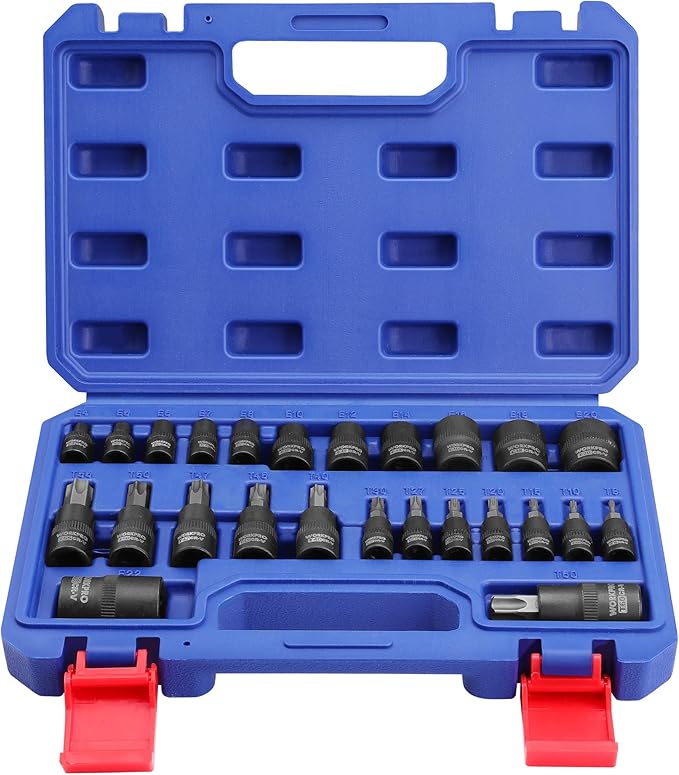 WORKPRO 25-Piece Torx Bit Socket Set, 1/4", 3/8", 1/2" Drive, E4-E22, T8-T60 Female & Torx Socket Set, CR-V & S2 Alloy Steel