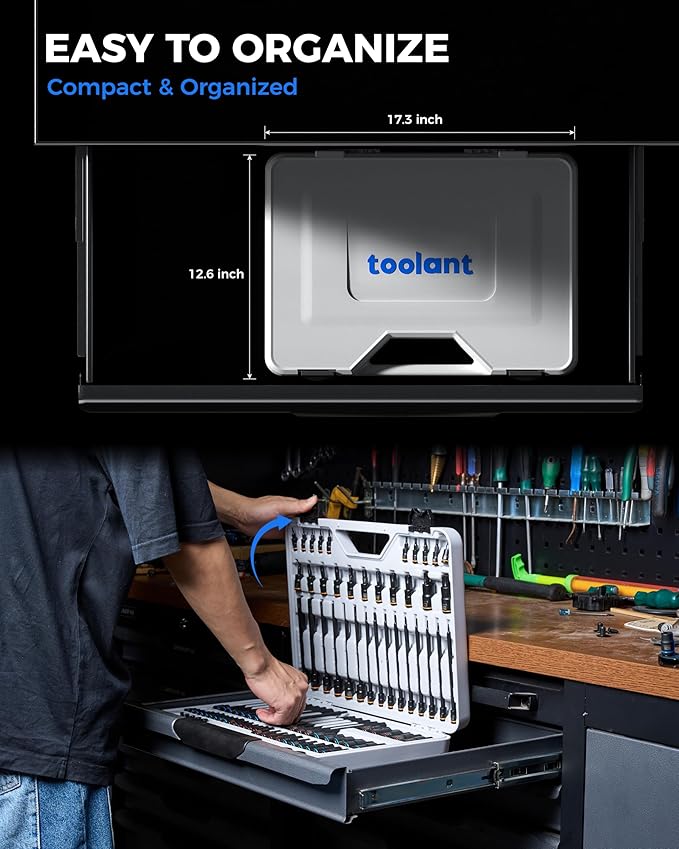 toolant 98 PCS Master Allen And Torx Bit Socket Set, Hex/Torx/E-torx Bit Set,1/4", 3/8" And 1/2" Drive,S2 Alloy Steel, 2 PCS For Critical Size