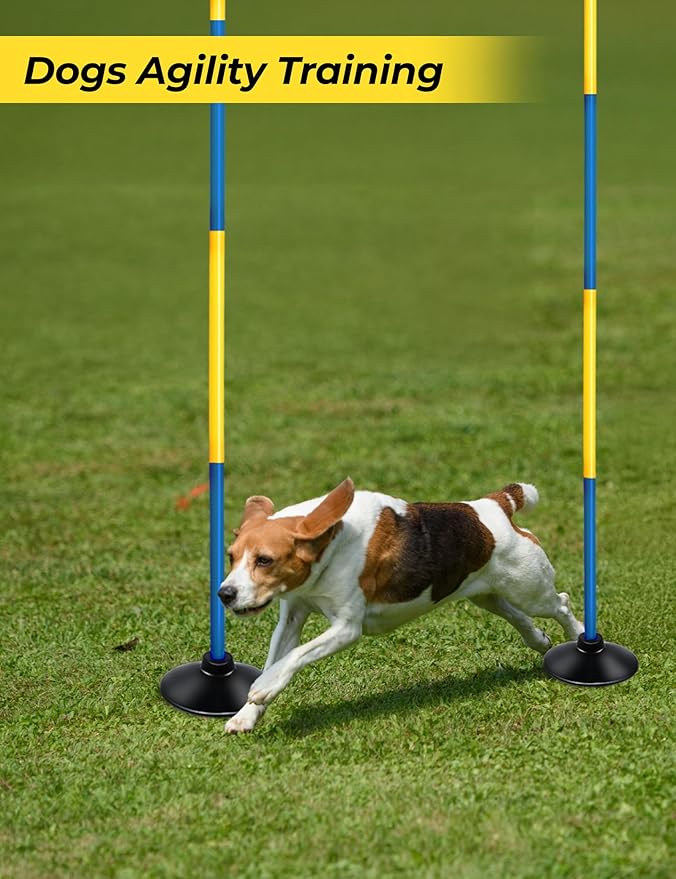 SEAOTTER Soccer Agility Poles Set, 4/6/10 Pcs 6ft Detachable Sports Trainning Speed Poles Slalom Poles with Rubber Base, Agility Training Equipment for Football, Rugby, Basketball, Indoor & Outdoor