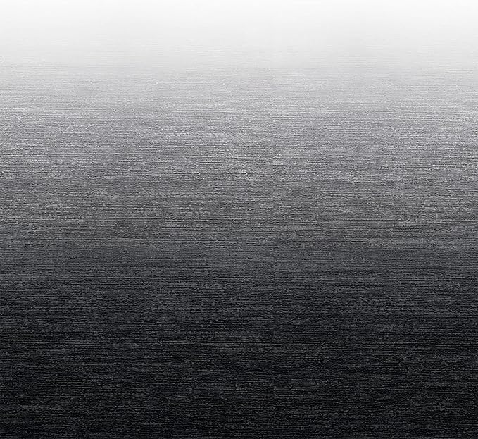 RecPro RV Awning Fabric | Width Options from 12 Feet to 22 Feet | Variety of Color Options | 8' (96") Length RV Awning Replacement | Premium Vinyl (16' - Actual Width 15' 1", Charcoal Fade)