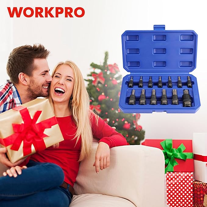 WORKPRO Torx Bit Socket Set, 1/4", 3/8" and 1/2" Drive Torx Bits 13-Piece Socket Set T8-T60, Premium S2 Steel Bits and CR-V Sockets with Storage Case