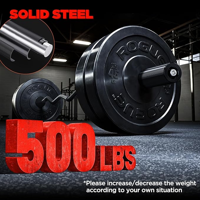 TEEMOO Olympic EZ Curl Barbell Bar, 47" Curl Bar with 2 Spring Collars,Curling bar for Weight Lifting, Squat, Hip Thrusts, Biceps, 500lb Weight Capacity, E-Coat Finish for 2 inch Weight Plates (Black)