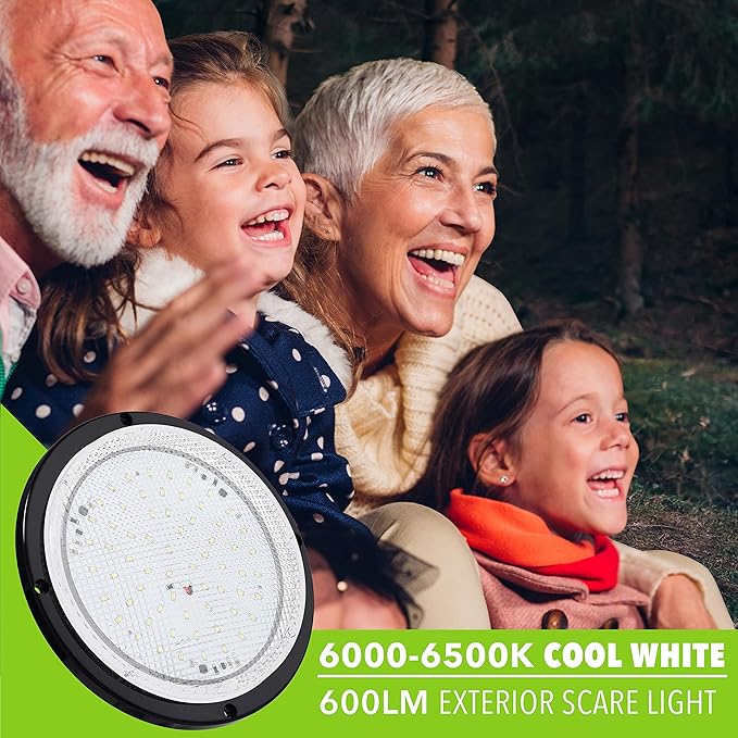 Leisure LED RV Trailer Camper 5th Wheel Black Housing 8.5inches Round Scare Porch 12V LED Light 600 LM (Black LED Light)