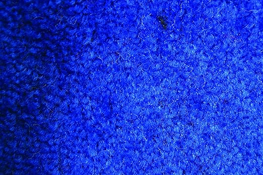 FANMATS 94020920 Guardian Platinum Series Indoor Wiper Floor Mat, Rubber with Nylon Carpet, 2" Width, 9" Length, Blue